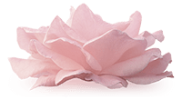 home_perfume_iconbox1