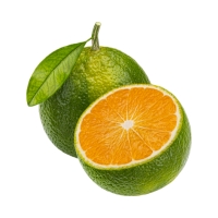 Green Mandarin