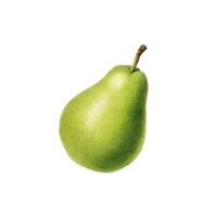 Pear
